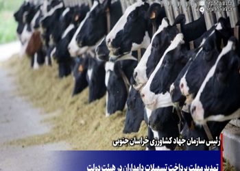 تمدید مهلت پرداخت تسهیلات دامداران در هیئت دولت