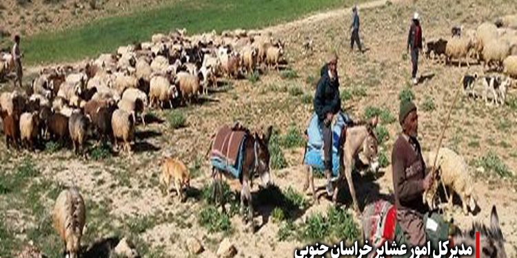 اختصاص 20 میلیارد تومان تسهیلات ارزان قیمت جدید  برای عشایر خراسان جنوبی