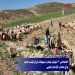 اختصاص 20 میلیارد تومان تسهیلات ارزان قیمت جدید برای عشایر خراسان جنوبی