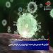 افزایش 36 درصدی موارد مثبت کرونا ویروس در خراسان جنوبی