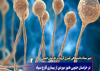 در خراسان ‌جنوبی هنوز موردی از بیماری قارچ سیاه مشاهده نشده است.