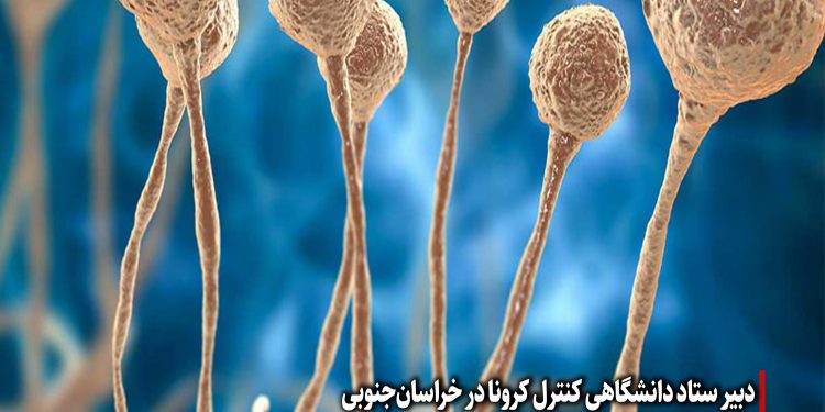 در خراسان ‌جنوبی هنوز موردی از بیماری قارچ سیاه مشاهده نشده است.