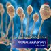 در خراسان جنوبی هنوز موردی از بیماری قارچ سیاه مشاهده نشده است.
