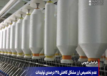 عدم تخصیص ارز مشکل کاهش 35 درصدی تولیدات  کارخانه نساجی فردوس